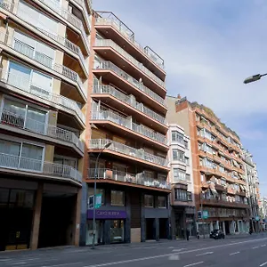 Alcam Gold , Barcelona España